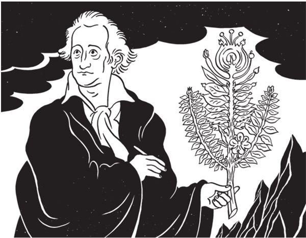 Иллюстрация к книге — Дарвинизм в XXI веке [i_044.jpg]