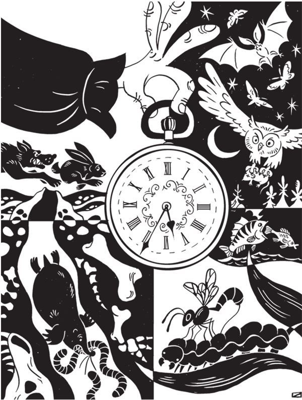 Иллюстрация к книге — Дарвинизм в XXI веке [i_051.jpg]