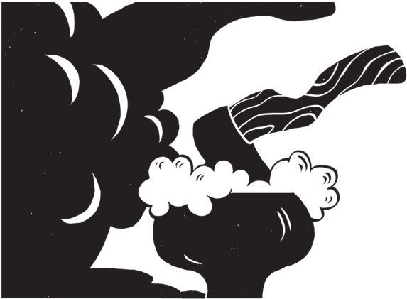 Иллюстрация к книге — Дарвинизм в XXI веке [i_055.jpg]