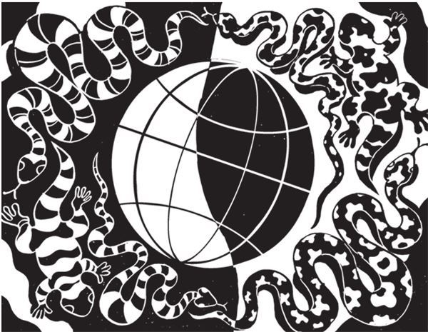 Иллюстрация к книге — Дарвинизм в XXI веке [i_059.jpg]