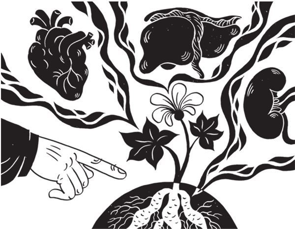 Иллюстрация к книге — Дарвинизм в XXI веке [i_060.jpg]