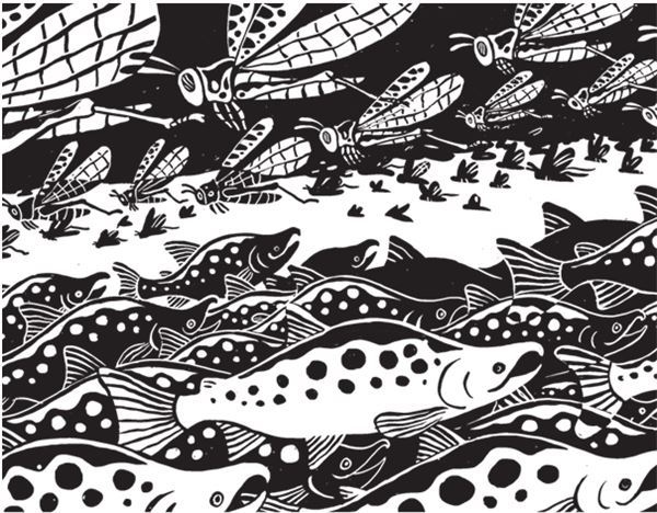 Иллюстрация к книге — Дарвинизм в XXI веке [i_061.jpg]