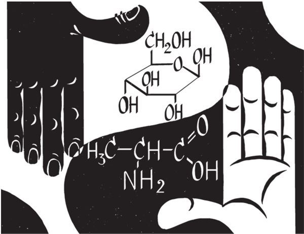 Иллюстрация к книге — Дарвинизм в XXI веке [i_062.jpg]