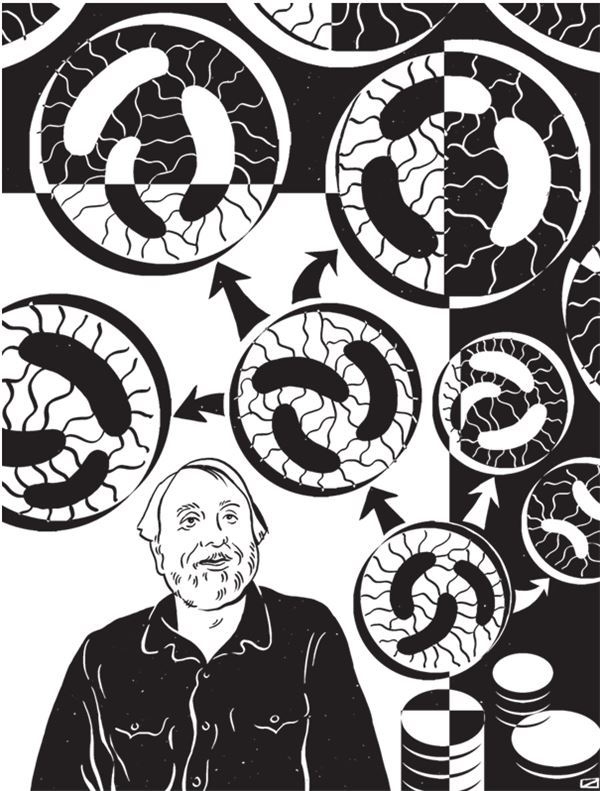 Иллюстрация к книге — Дарвинизм в XXI веке [i_079.jpg]