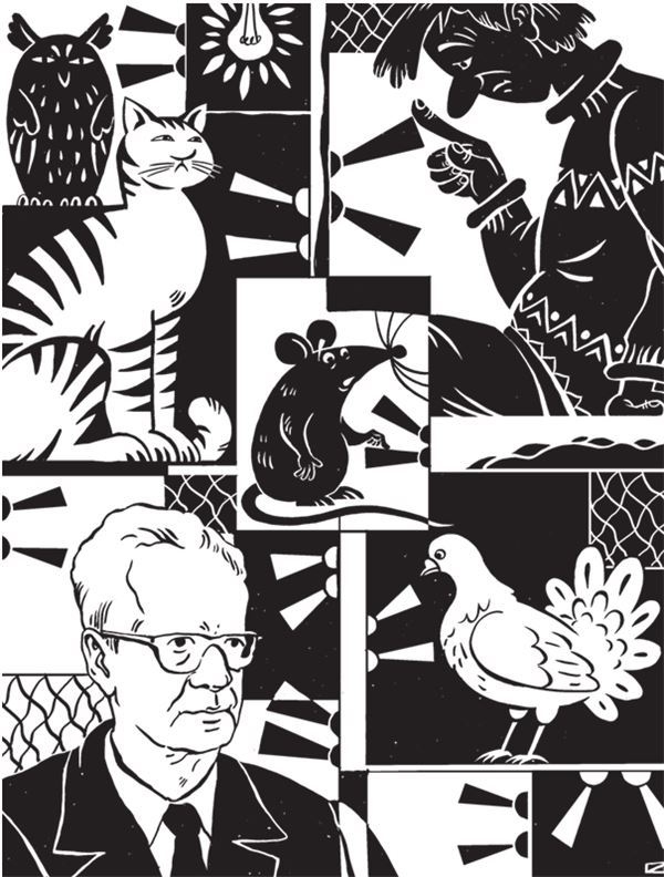 Иллюстрация к книге — Дарвинизм в XXI веке [i_084.jpg]