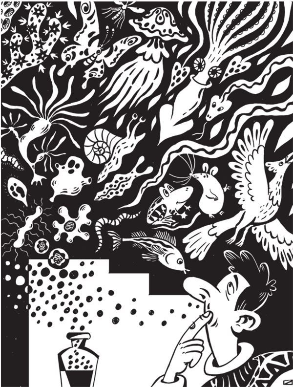 Иллюстрация к книге — Дарвинизм в XXI веке [i_090.jpg]