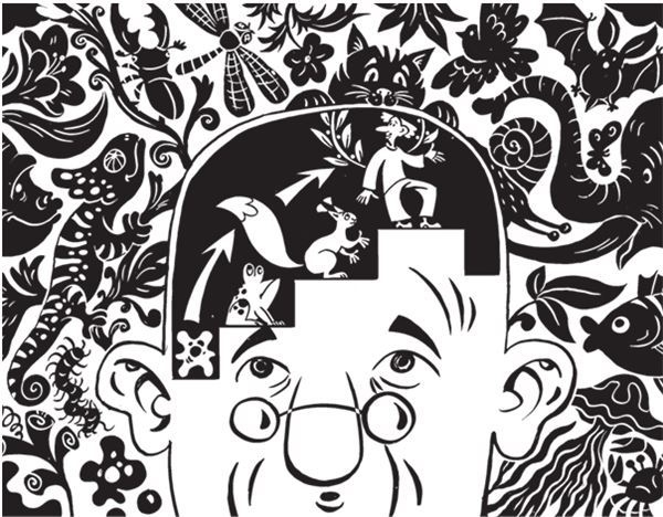 Иллюстрация к книге — Дарвинизм в XXI веке [i_091.jpg]