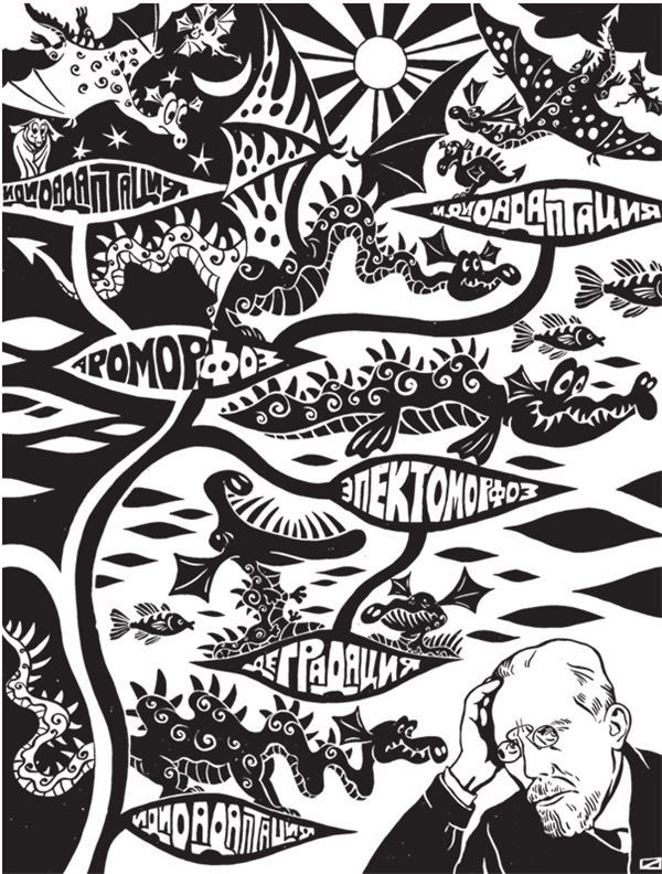 Иллюстрация к книге — Дарвинизм в XXI веке [i_092.jpg]