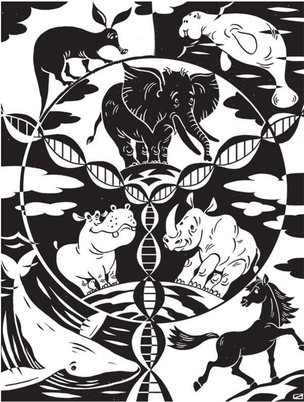 Иллюстрация к книге — Дарвинизм в XXI веке [i_097.jpg]