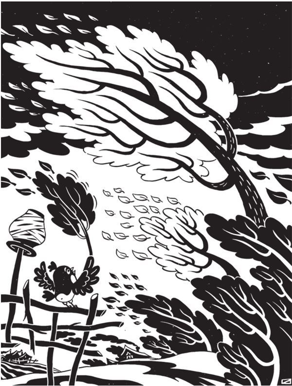 Иллюстрация к книге — Дарвинизм в XXI веке [i_099.jpg]