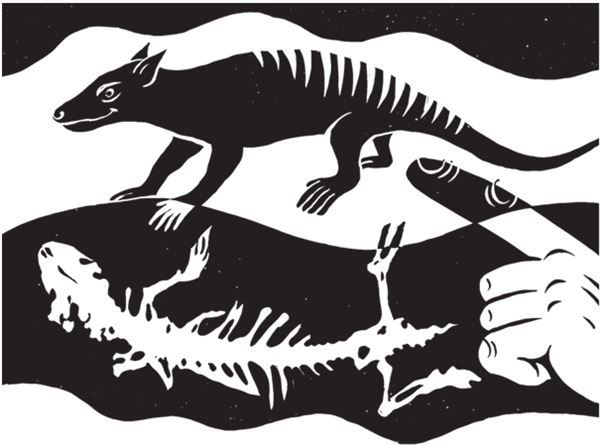 Иллюстрация к книге — Дарвинизм в XXI веке [i_102.jpg]