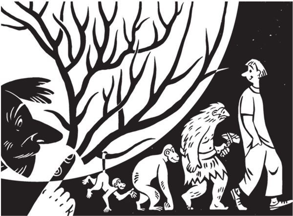 Иллюстрация к книге — Дарвинизм в XXI веке [i_105.jpg]