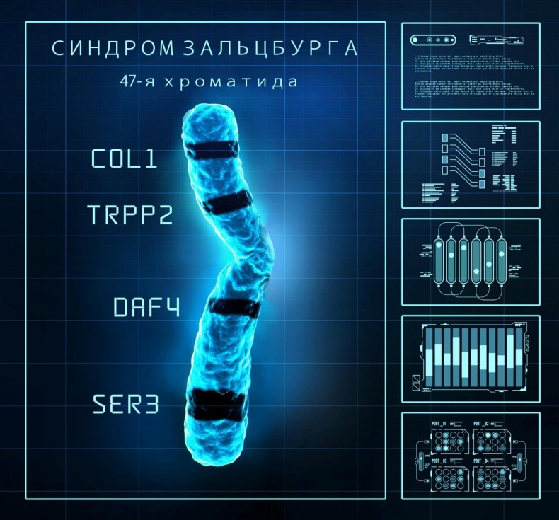 Иллюстрация к книге — Код [img-1e4391ef651.jpg]
