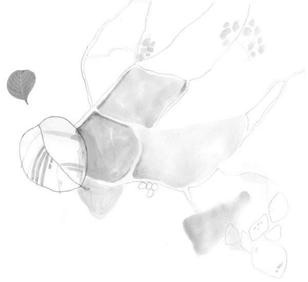 Иллюстрация к книге — Девочки-колдуньи [i_003.jpg]