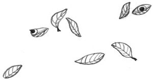 Иллюстрация к книге — Девочки-колдуньи [i_019.jpg]