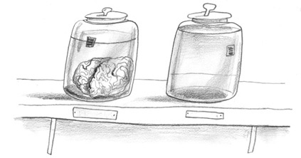 Иллюстрация к книге — Девочки-колдуньи [i_024.jpg]