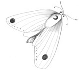 Иллюстрация к книге — Девочки-колдуньи [i_030.jpg]