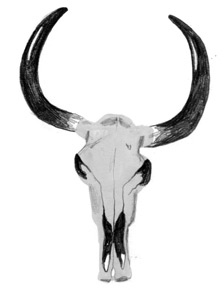 Иллюстрация к книге — Девочки-колдуньи [i_047.jpg]