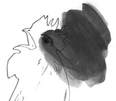 Иллюстрация к книге — Девочки-колдуньи [i_060.jpg]