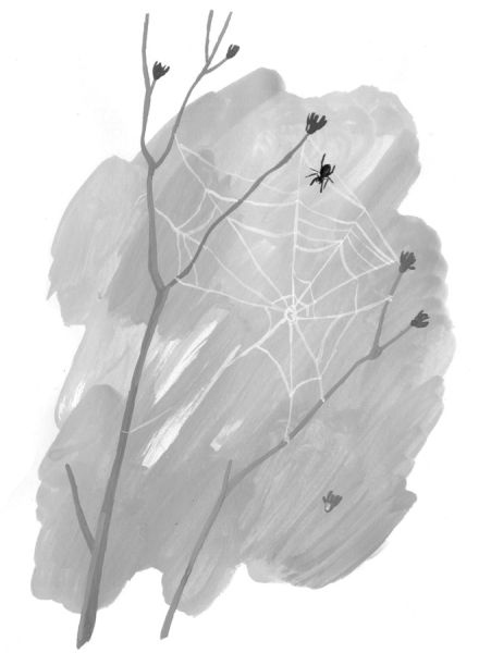 Иллюстрация к книге — Девочки-колдуньи [i_064.jpg]