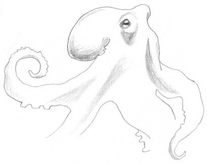 Иллюстрация к книге — Девочки-колдуньи [i_074.jpg]