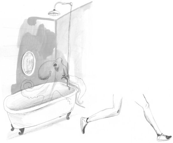 Иллюстрация к книге — Девочки-колдуньи [i_075.jpg]