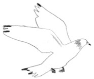 Иллюстрация к книге — Девочки-колдуньи [i_078.jpg]