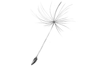 Иллюстрация к книге — Девочки-колдуньи [i_080.jpg]