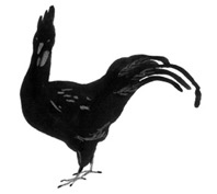 Иллюстрация к книге — Девочки-колдуньи [i_084.jpg]