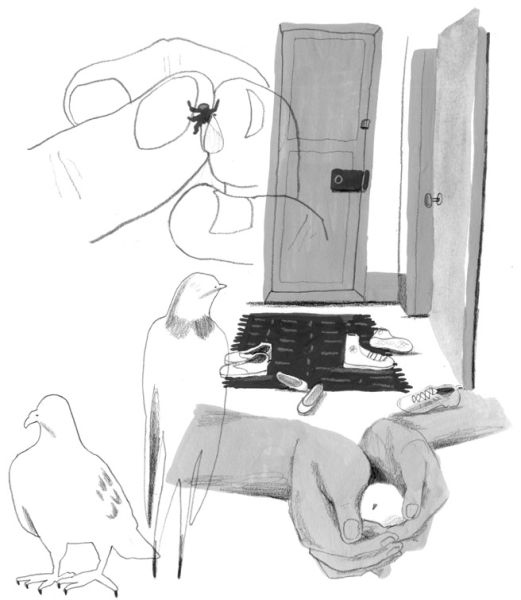 Иллюстрация к книге — Девочки-колдуньи [i_087.jpg]