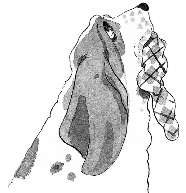 Иллюстрация к книге — Как победить вампира [i_005.jpg]