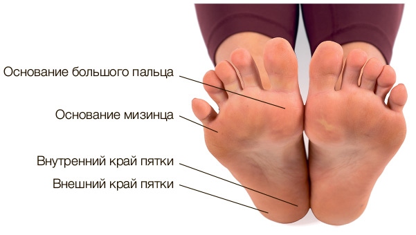 Иллюстрация к книге — Силовая йога. Энергия. Концентрация. Баланс [i_006.jpg]