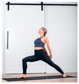 Иллюстрация к книге — Силовая йога. Энергия. Концентрация. Баланс [i_124.jpg]