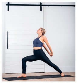 Иллюстрация к книге — Силовая йога. Энергия. Концентрация. Баланс [i_125.jpg]