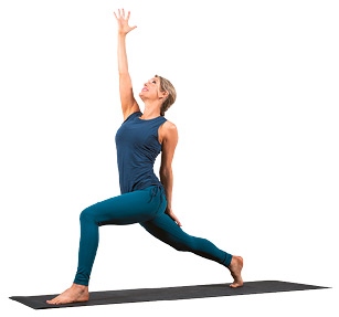 Иллюстрация к книге — Силовая йога. Энергия. Концентрация. Баланс [i_187.jpg]