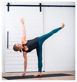 Иллюстрация к книге — Силовая йога. Энергия. Концентрация. Баланс [i_209.jpg]