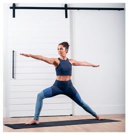 Иллюстрация к книге — Силовая йога. Энергия. Концентрация. Баланс [i_376.jpg]