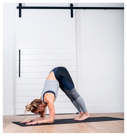 Иллюстрация к книге — Силовая йога. Энергия. Концентрация. Баланс [i_390.jpg]