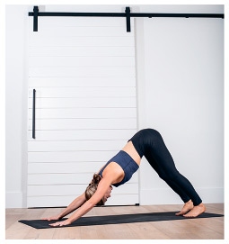 Иллюстрация к книге — Силовая йога. Энергия. Концентрация. Баланс [i_391.jpg]