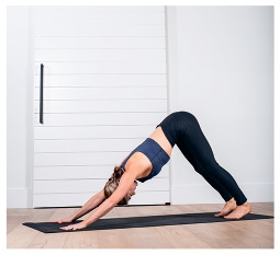 Иллюстрация к книге — Силовая йога. Энергия. Концентрация. Баланс [i_414.jpg]