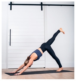 Иллюстрация к книге — Силовая йога. Энергия. Концентрация. Баланс [i_436.jpg]