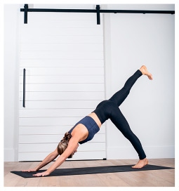 Иллюстрация к книге — Силовая йога. Энергия. Концентрация. Баланс [i_446.jpg]