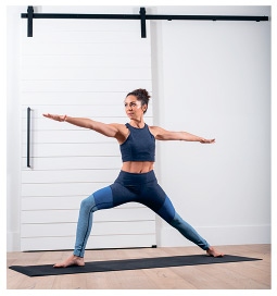 Иллюстрация к книге — Силовая йога. Энергия. Концентрация. Баланс [i_452.jpg]