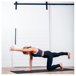 Иллюстрация к книге — Силовая йога. Энергия. Концентрация. Баланс [i_535.jpg]