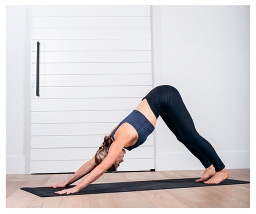 Иллюстрация к книге — Силовая йога. Энергия. Концентрация. Баланс [i_563.jpg]