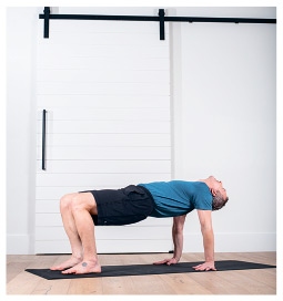 Иллюстрация к книге — Силовая йога. Энергия. Концентрация. Баланс [i_584.jpg]