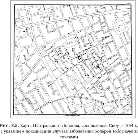 Иллюстрация к книге — Ум в движении. Как действие формирует мысль [i_014.jpg]