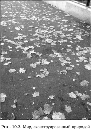 Иллюстрация к книге — Ум в движении. Как действие формирует мысль [i_037.jpg]