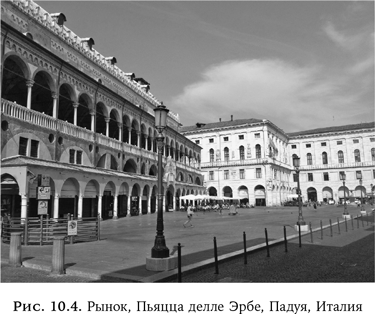 Иллюстрация к книге — Ум в движении. Как действие формирует мысль [i_039.jpg]