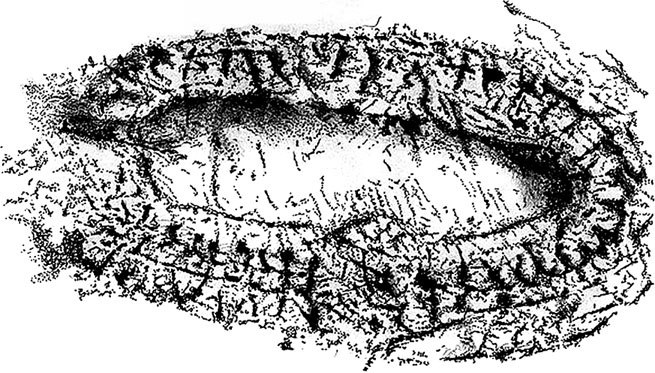 Иллюстрация к книге — Затерянный мир Дарвина. Тайная история жизни на Земле [i_022.jpg]